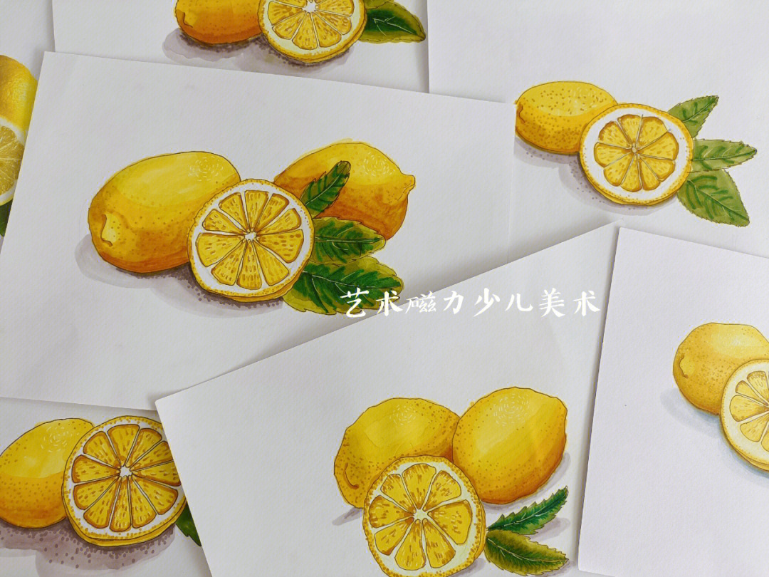 柠檬素描图片步骤图解图片