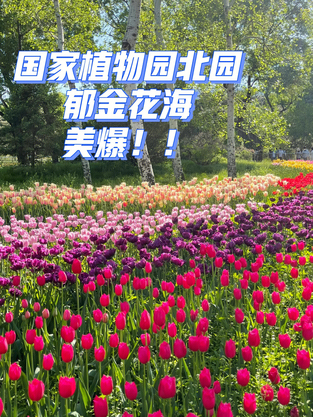 锦州植物园图片