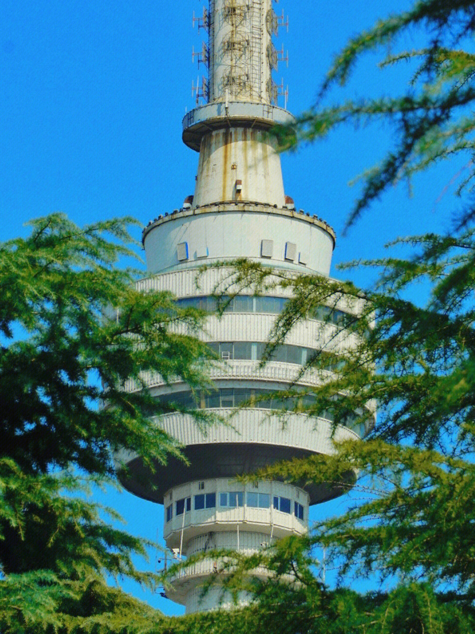 武汉龟山风景区图片图片