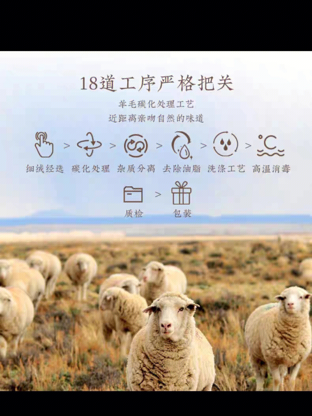 羊毛被广告录音图片