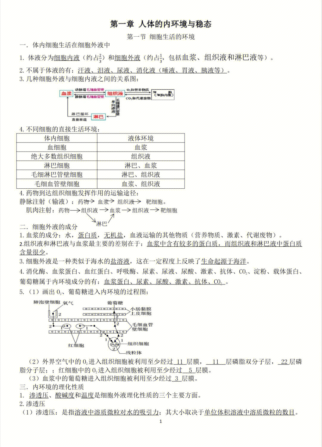 一轮复习#学渣逆袭指南#选择性必修一#高二上#生物笔记