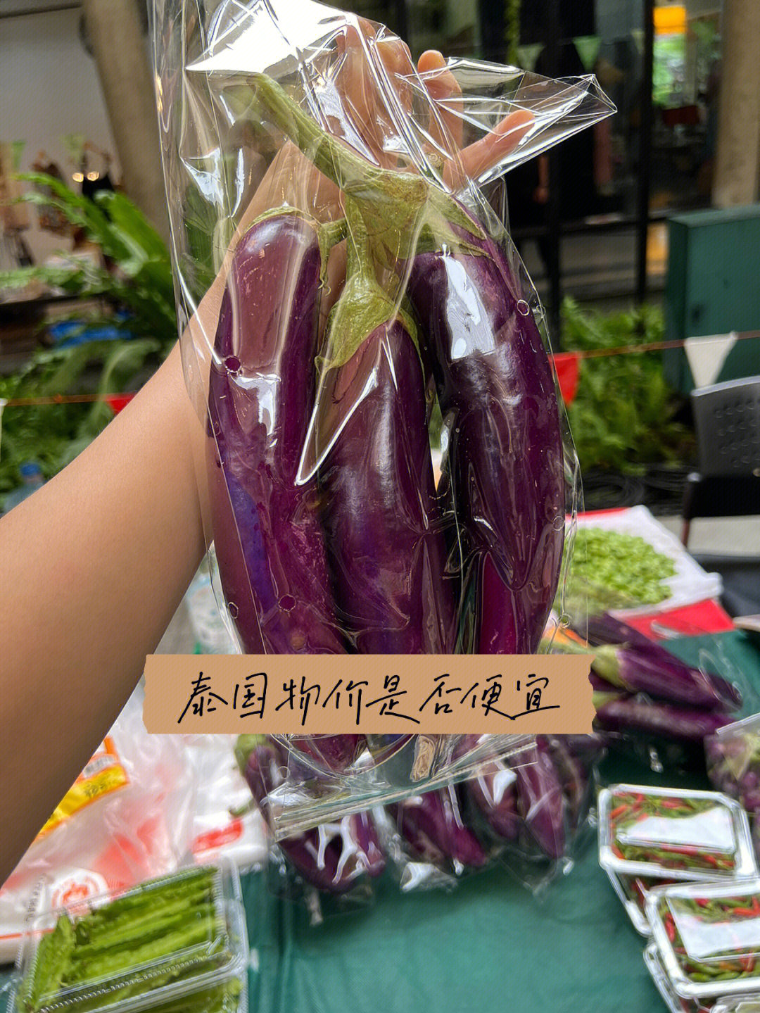 泰国蔬菜品种认识图片