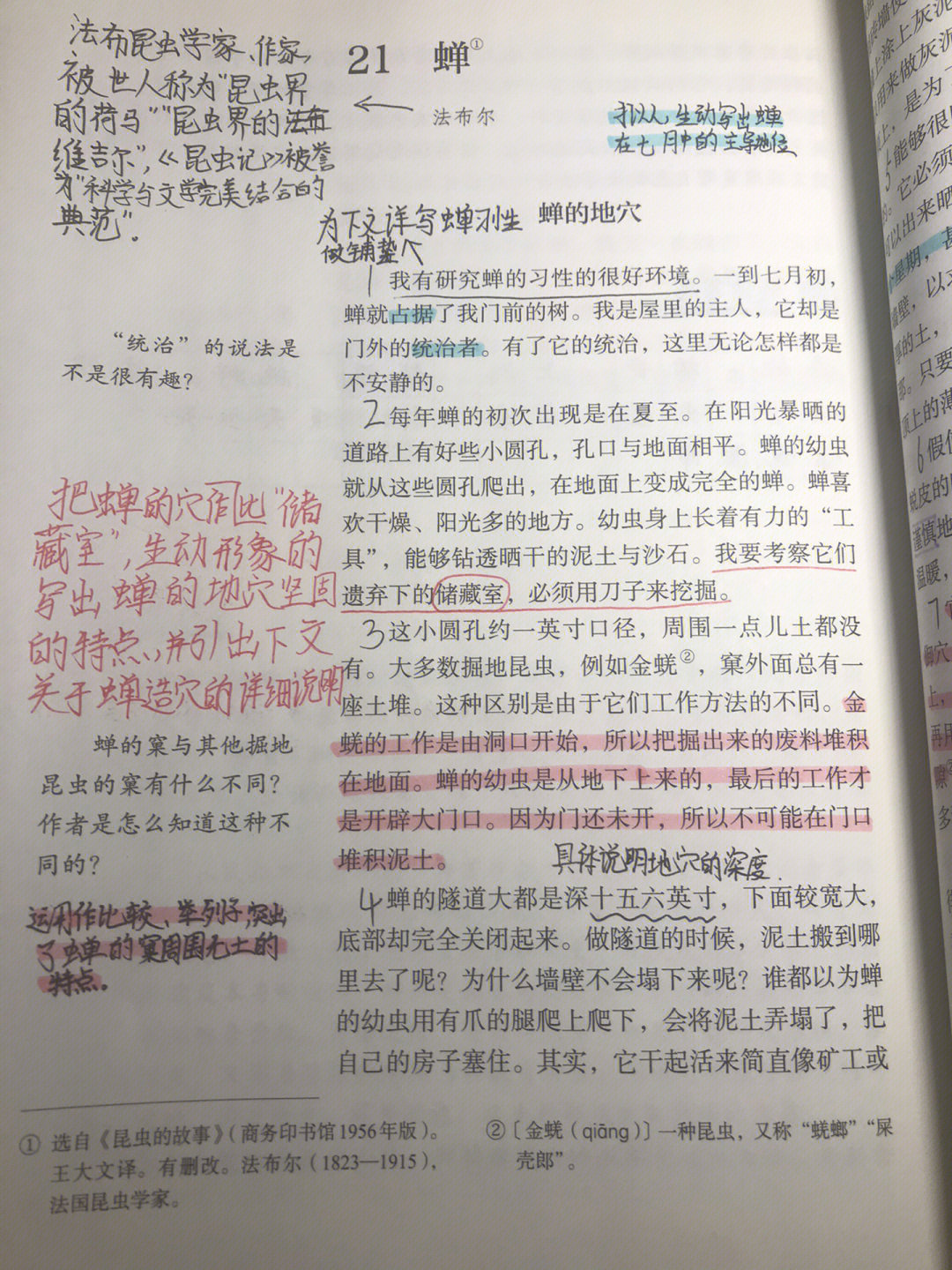 蝉的备忘录图片