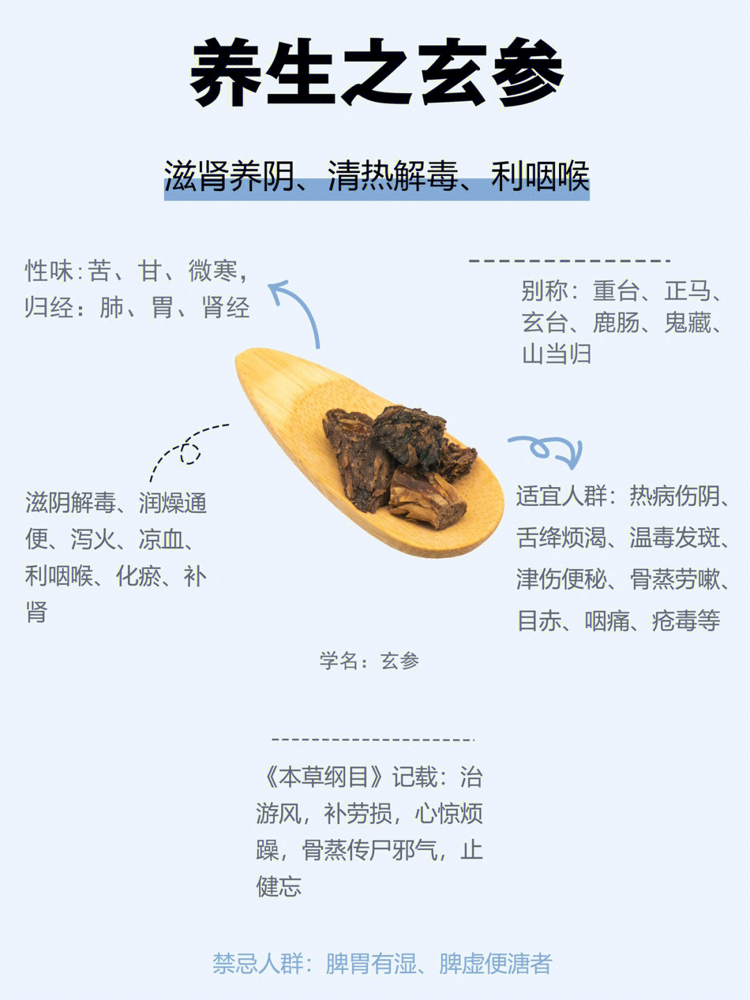 玄参性味归经图片