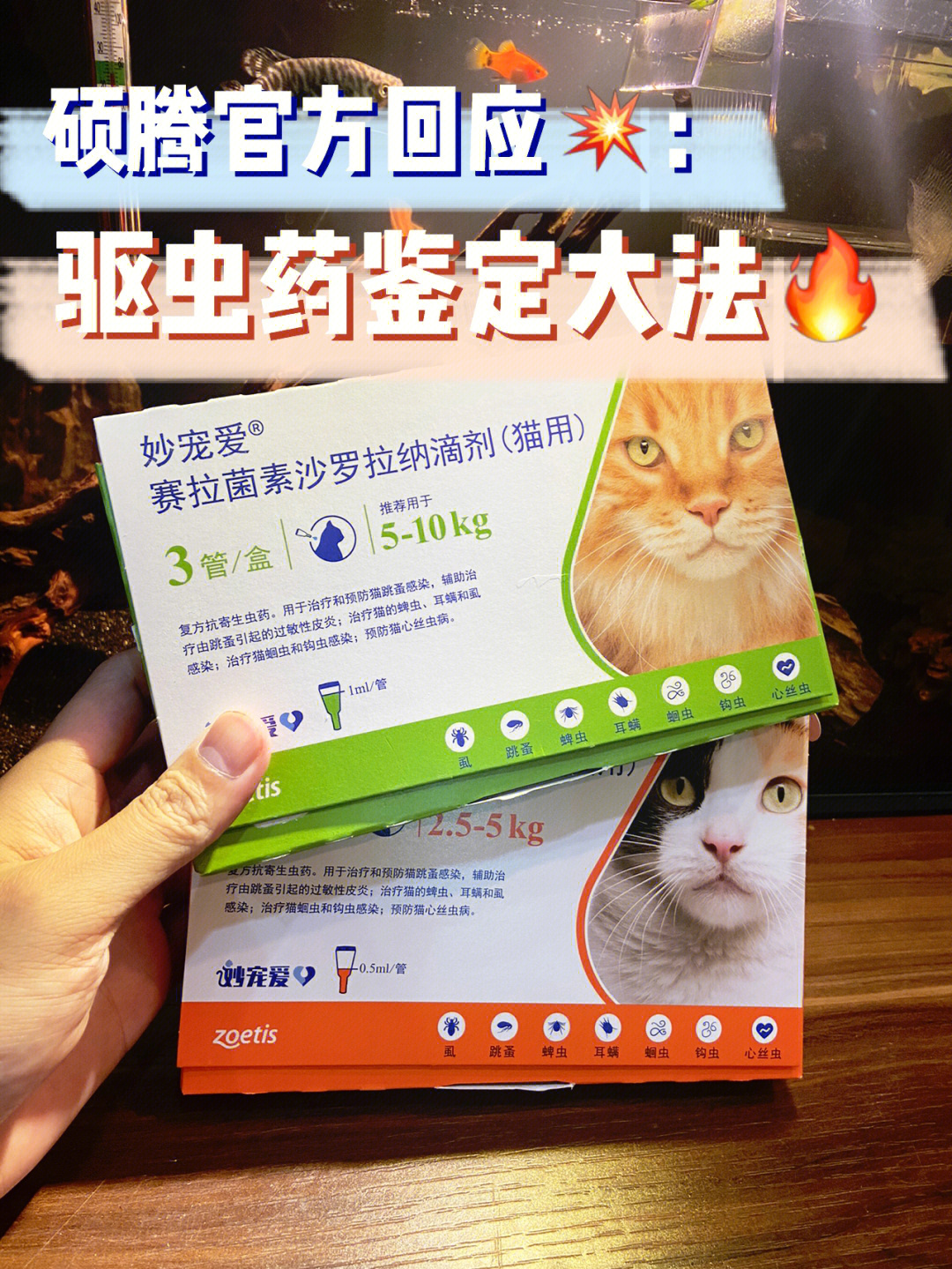 养猫人必学驱虫药真伪辨别法