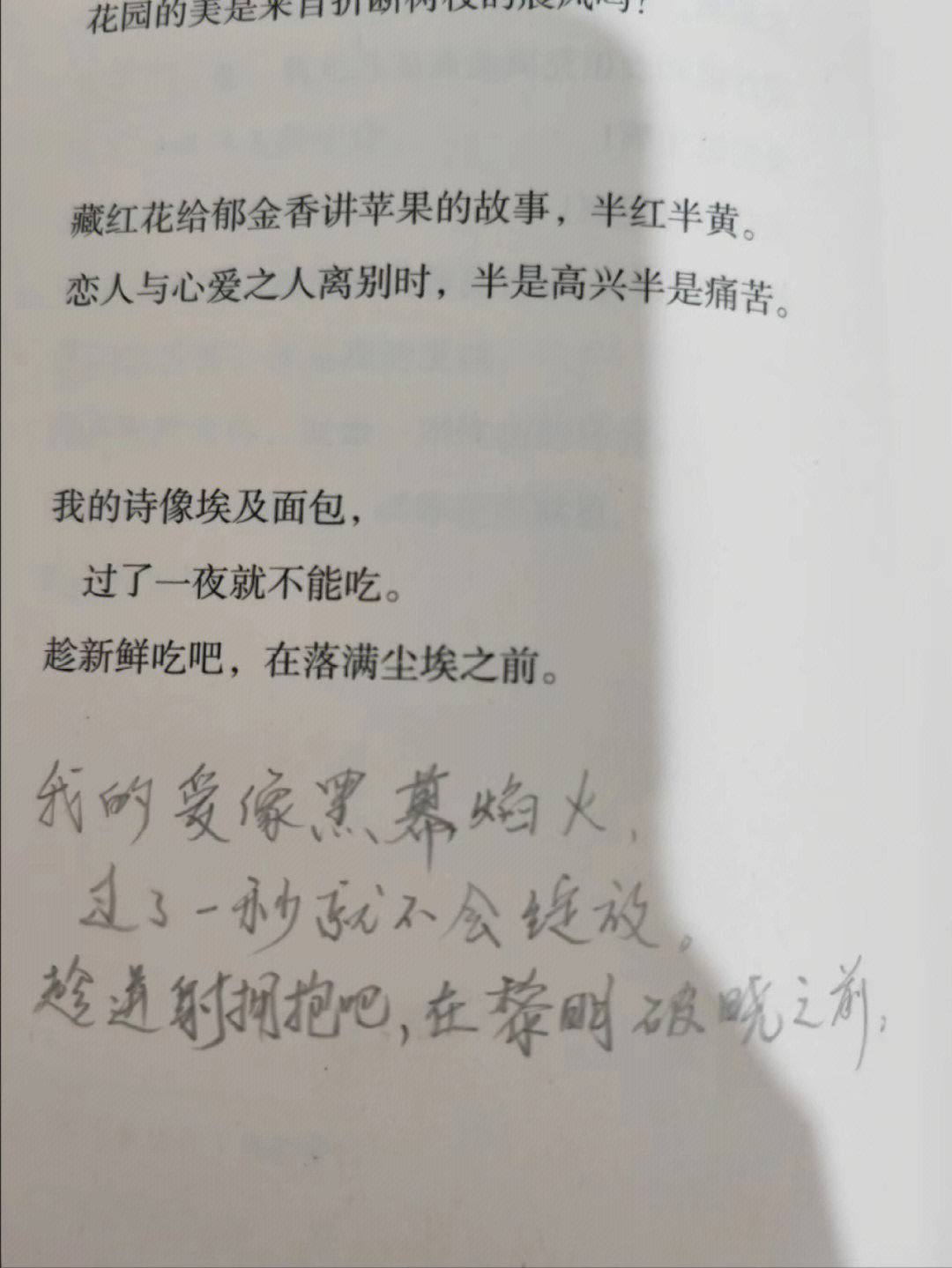 火鲁米抒情诗