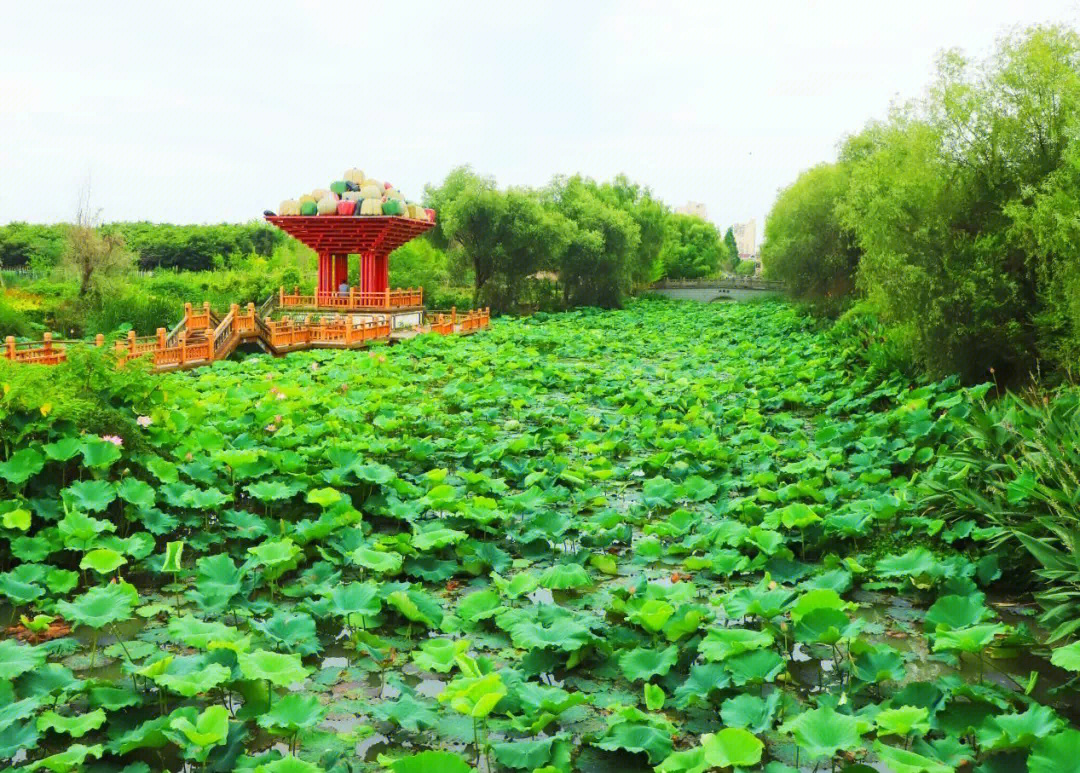 牌楼村