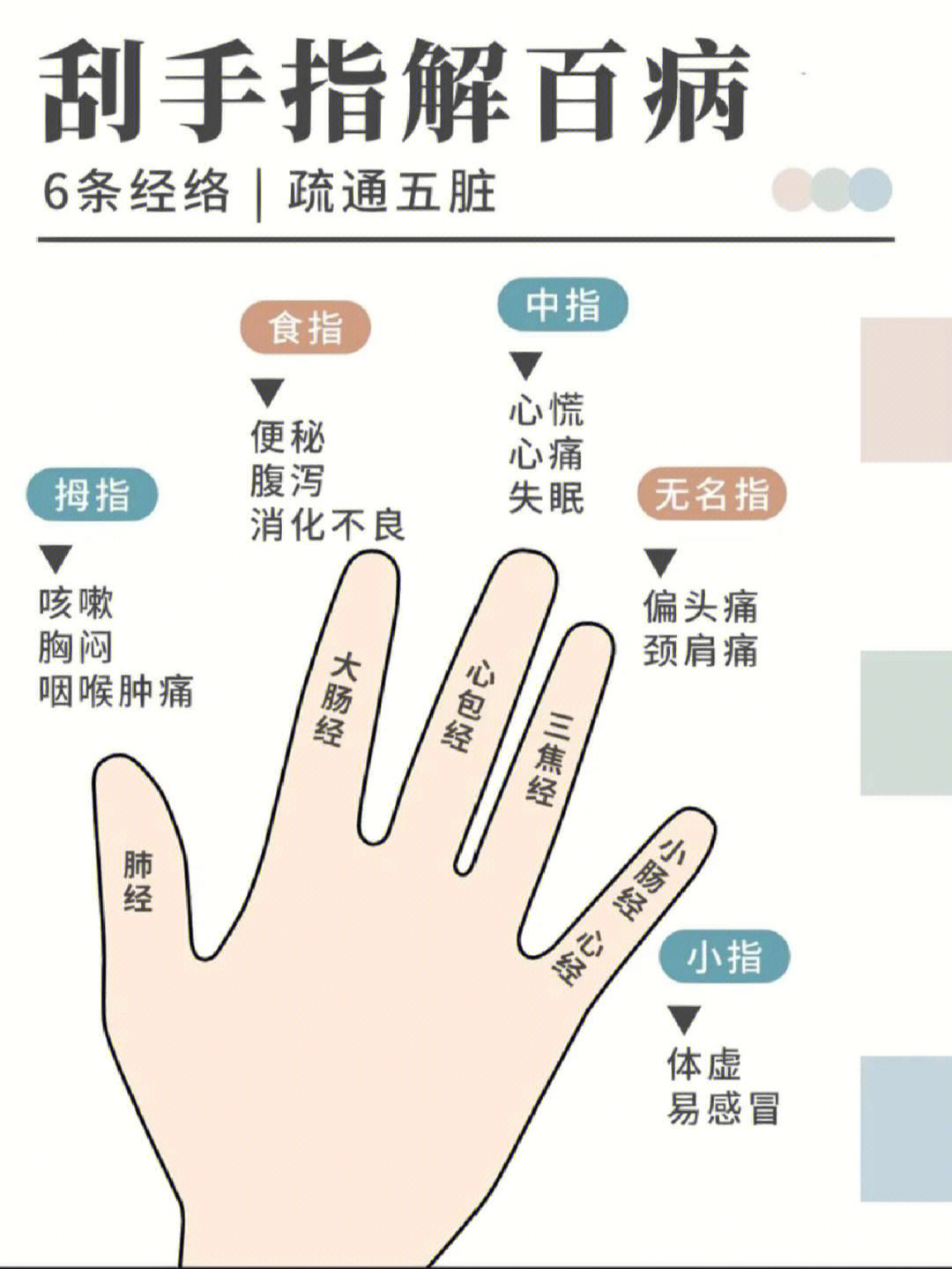 手指代表的五脏图图片
