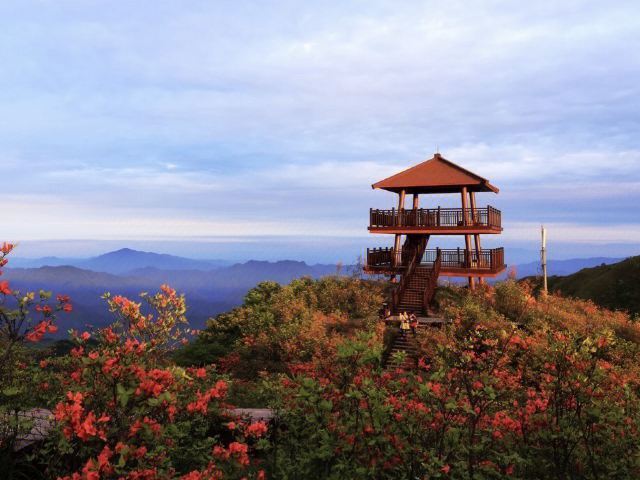 浏阳旅游推荐大围山