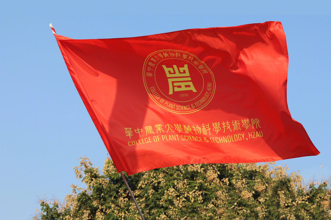 点击查看植科院院旗