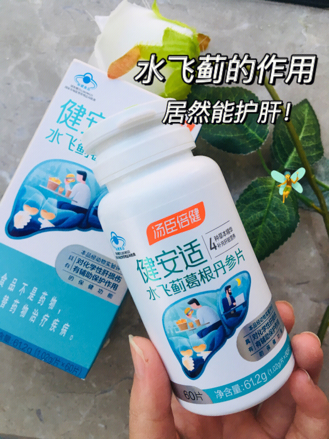 水飞蓟泡水喝方法图片