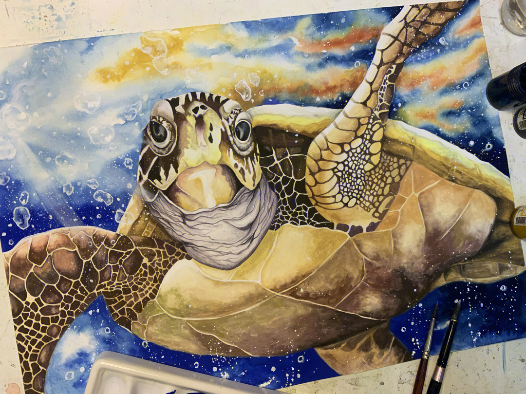 海龟水彩绘制附步骤图附线稿