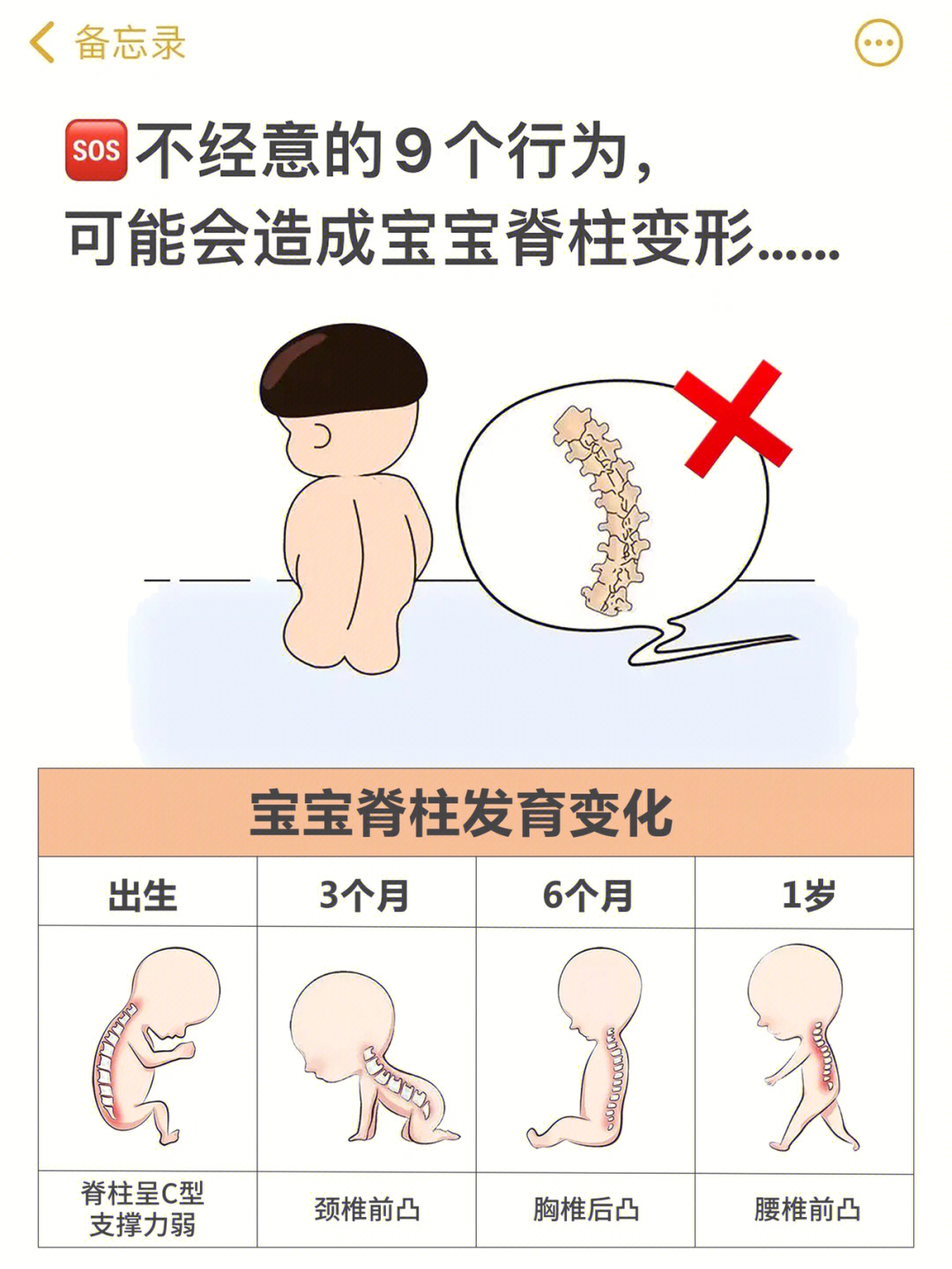脊柱出现第一个生理弯曲,脊椎前凸,宝宝可以抬头78156个月:脊柱