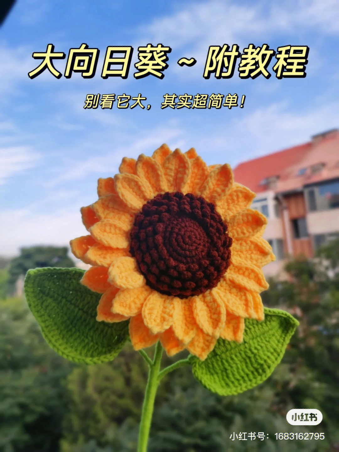 太阳花的钩法图解图片