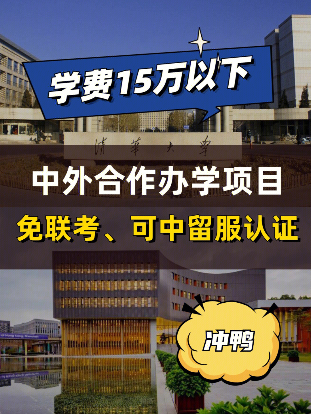 学费15万以下6022年中外合作办学项目冲鸭