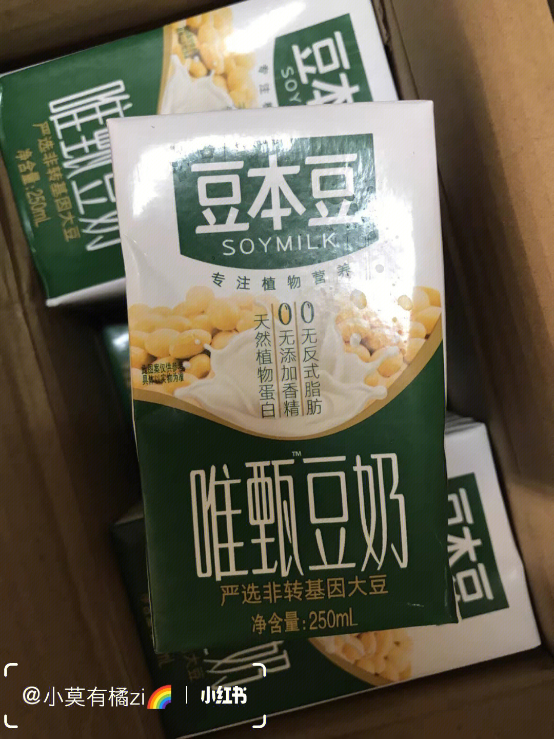 伊利豆本豆图片