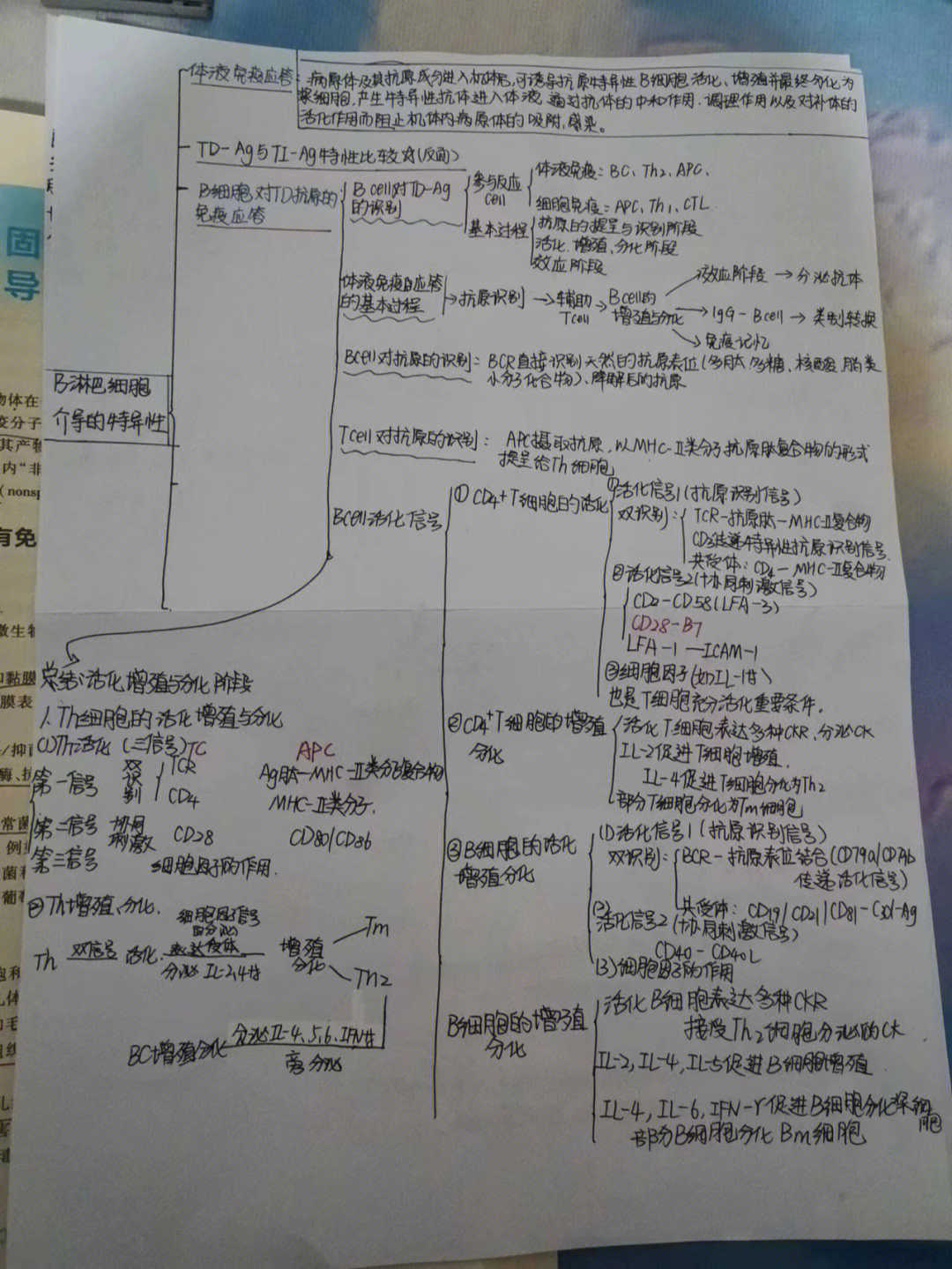 免疫第13章思维导图