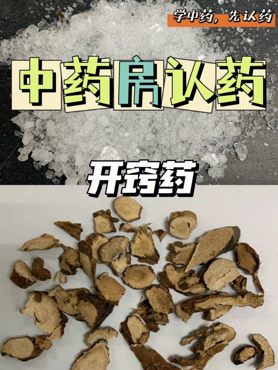 开窍药79麝香冰片苏合香石菖蒲