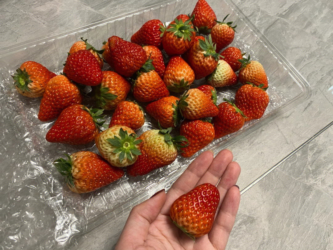 草莓伪装水果套路图图片