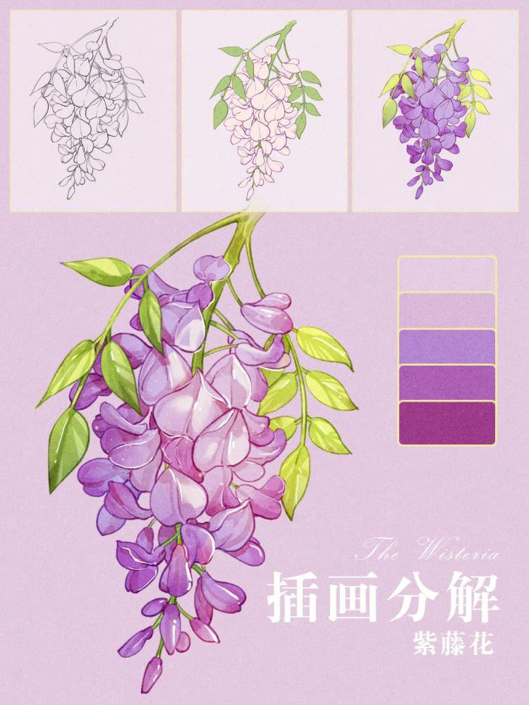 紫藤花logo插画图片