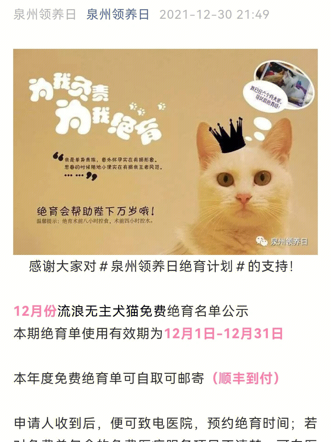 流浪猫狗文案图片