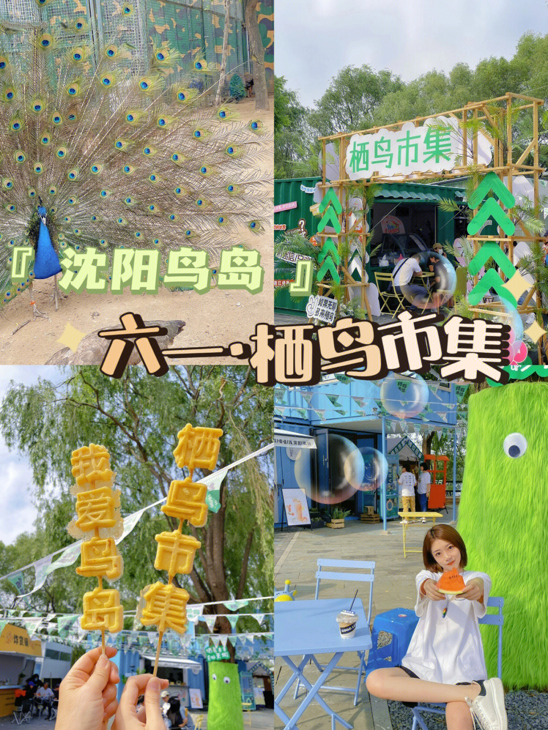 沈阳鸟岛门票图片