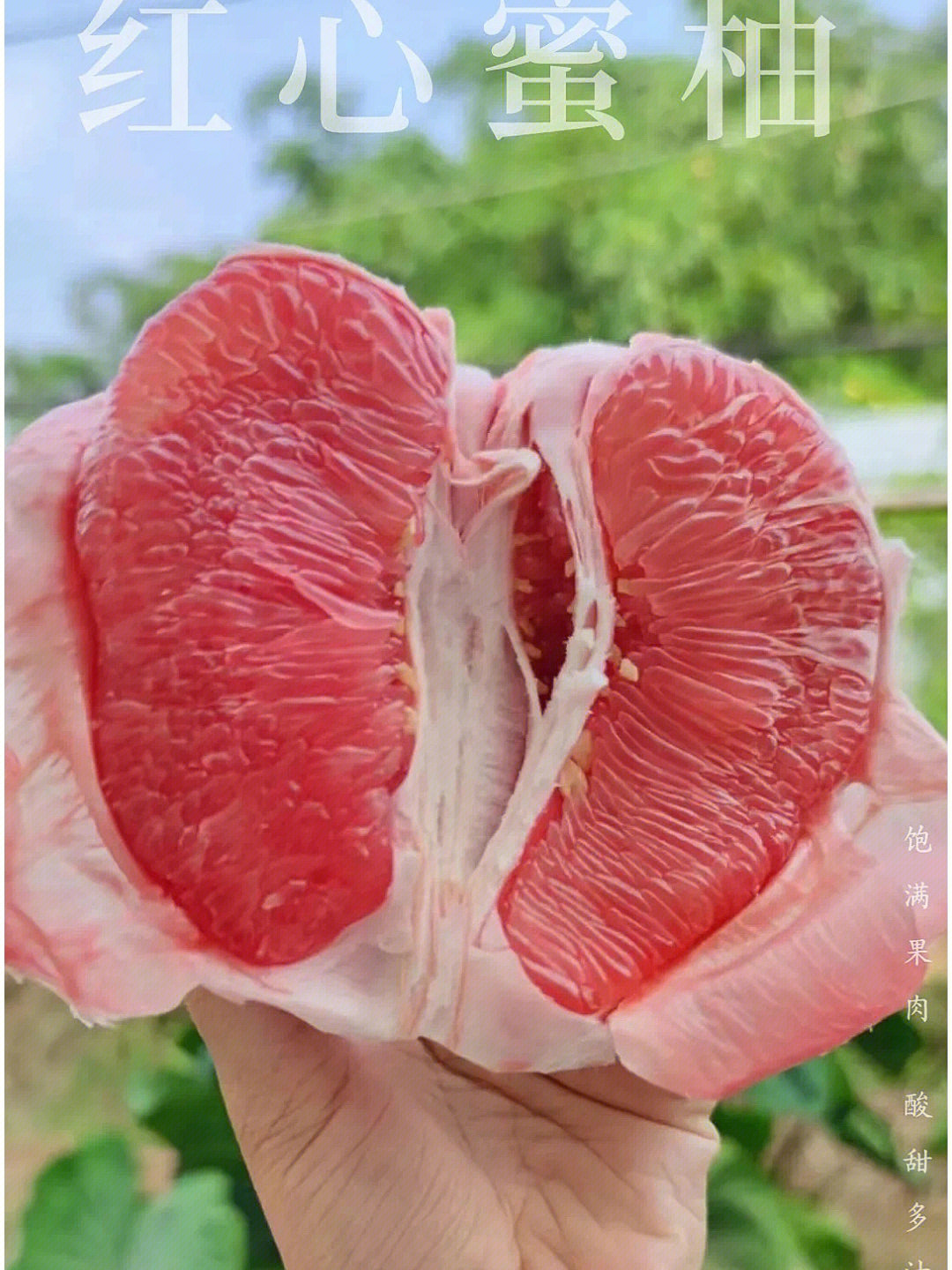 三红柚之所以果肉呈红色,是因富含维生素a,β
