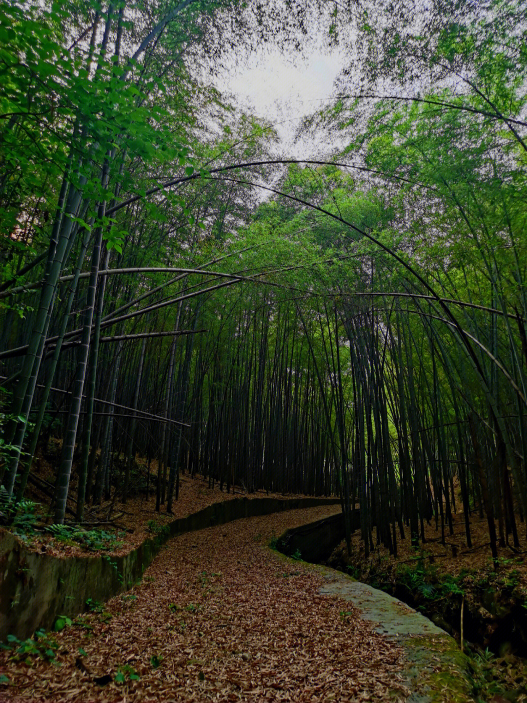 萧山欢潭大岩山风景区图片