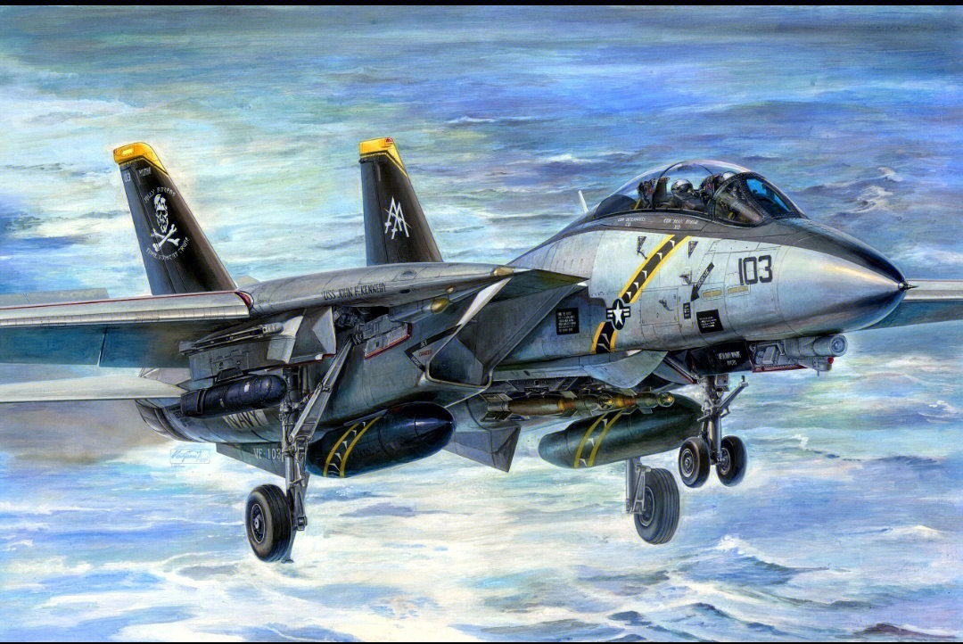 f14雄猫战斗机隐身版图片