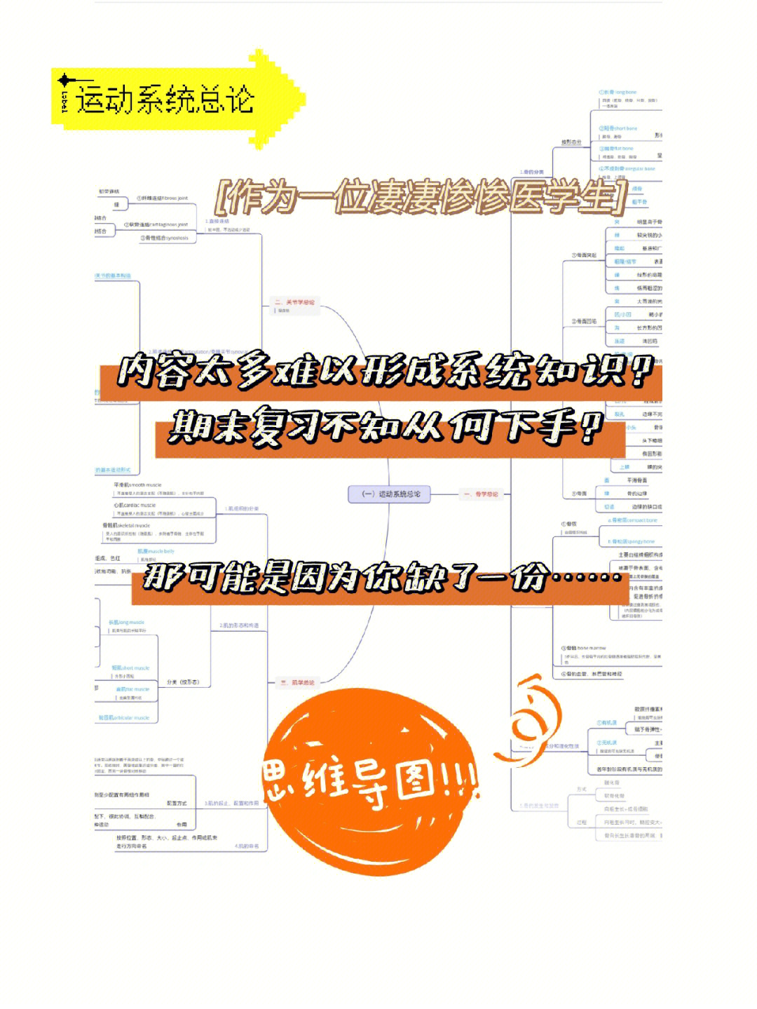 学》运动系统61运动系统总论思维导图77书上内容=nice91……一