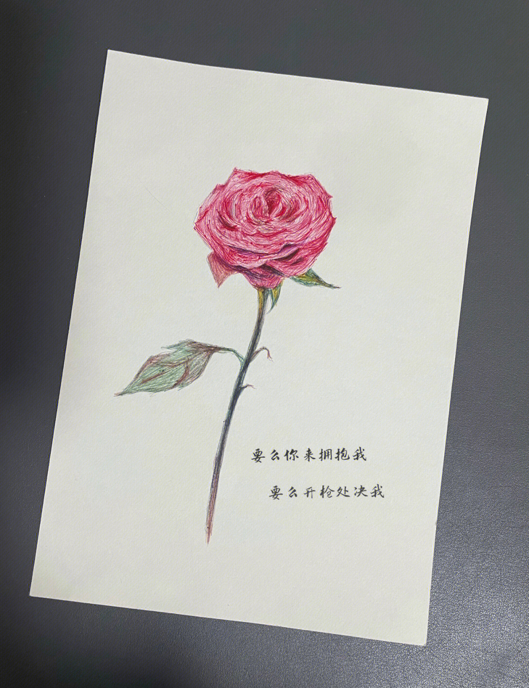 圆珠笔玫瑰花的画法图片