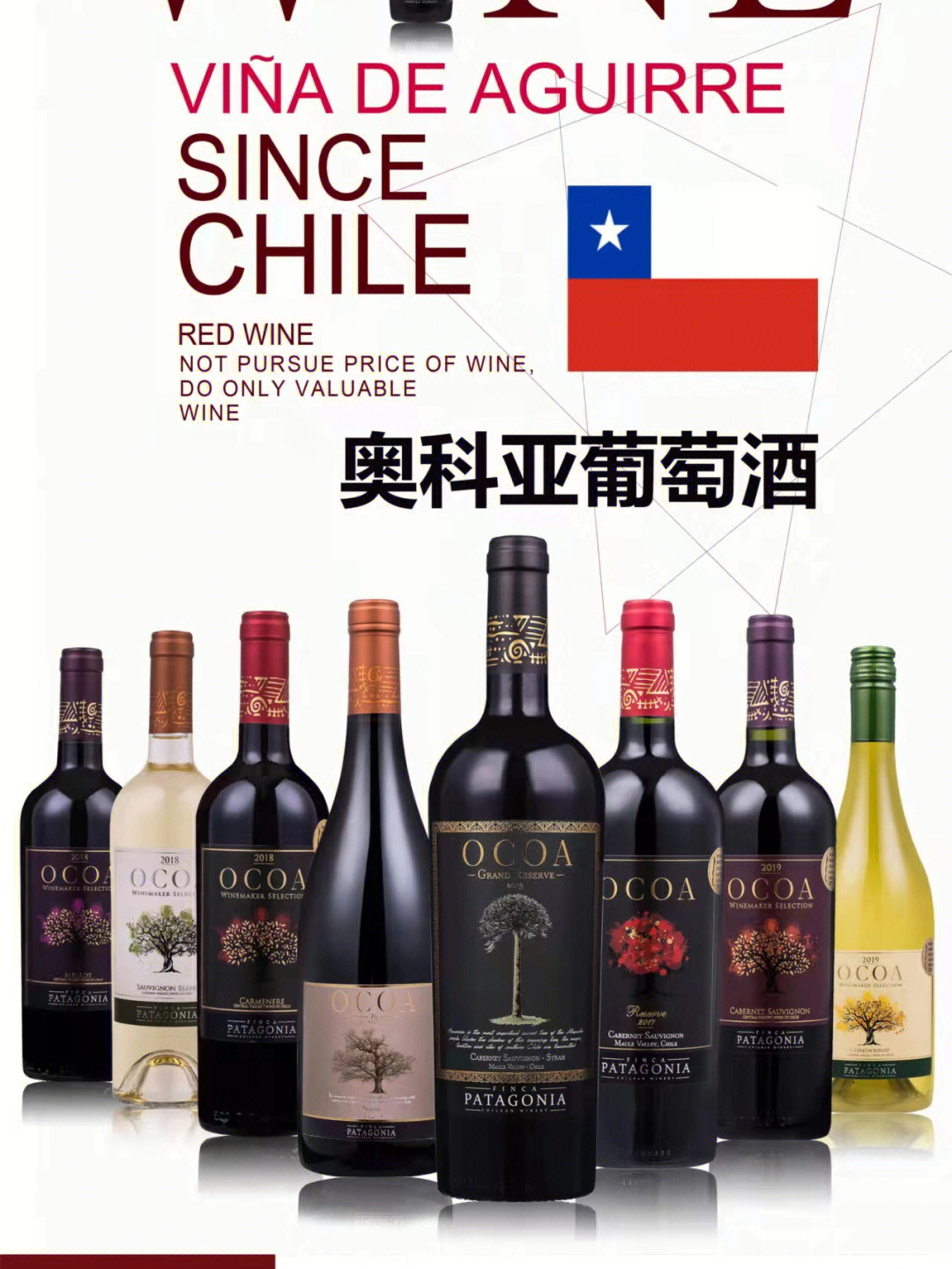 智利高尔夫红酒2016图片