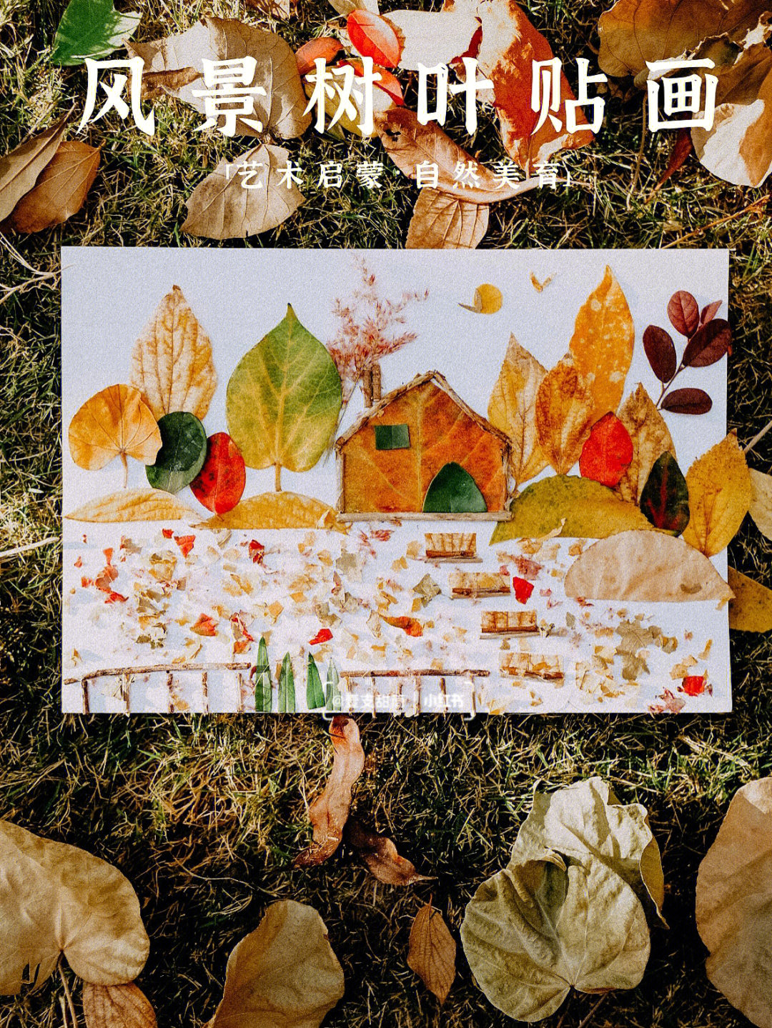 让秋天变成一幅最美的树叶风景贴画吧