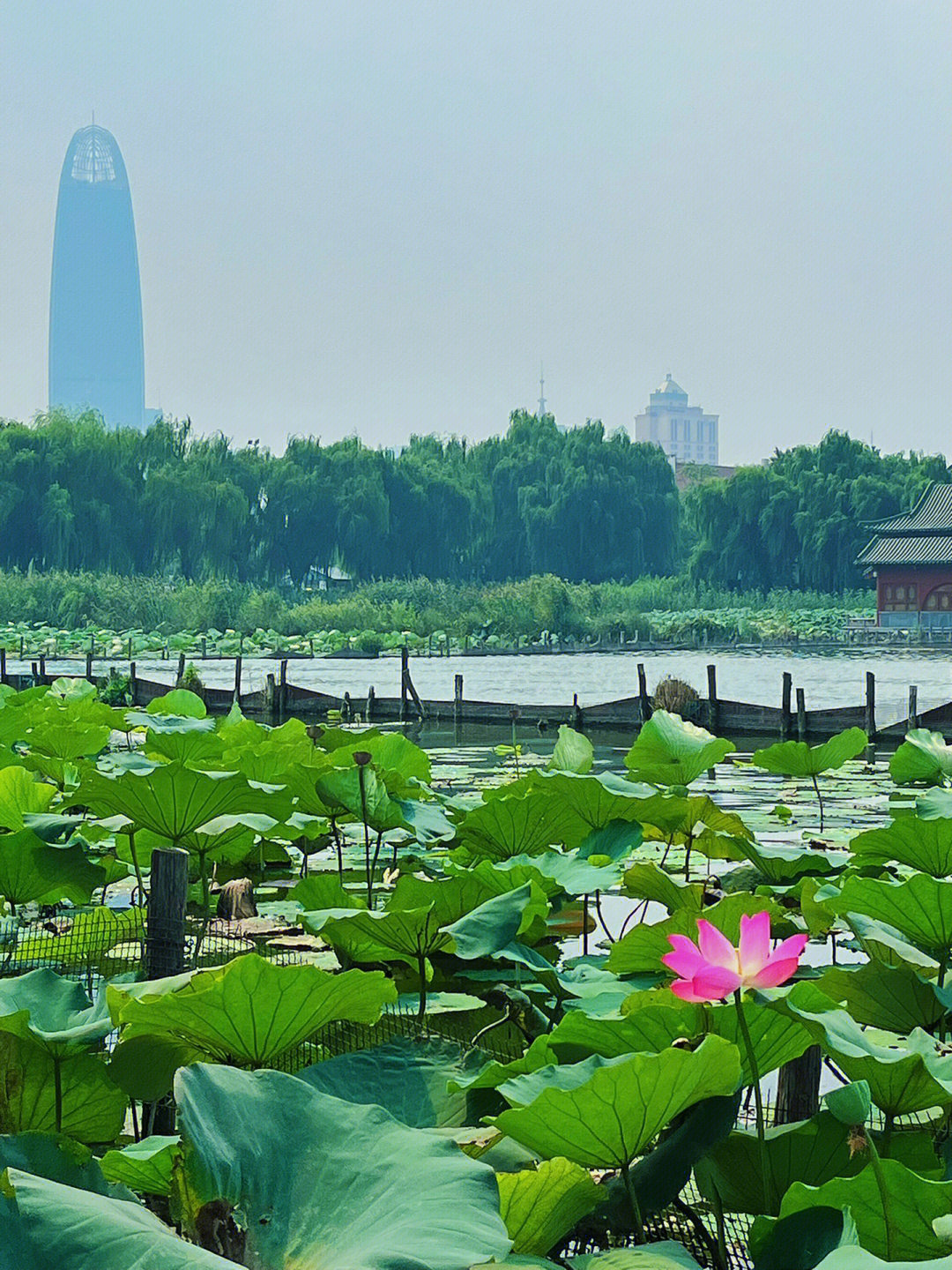 济南王八盖子山图片