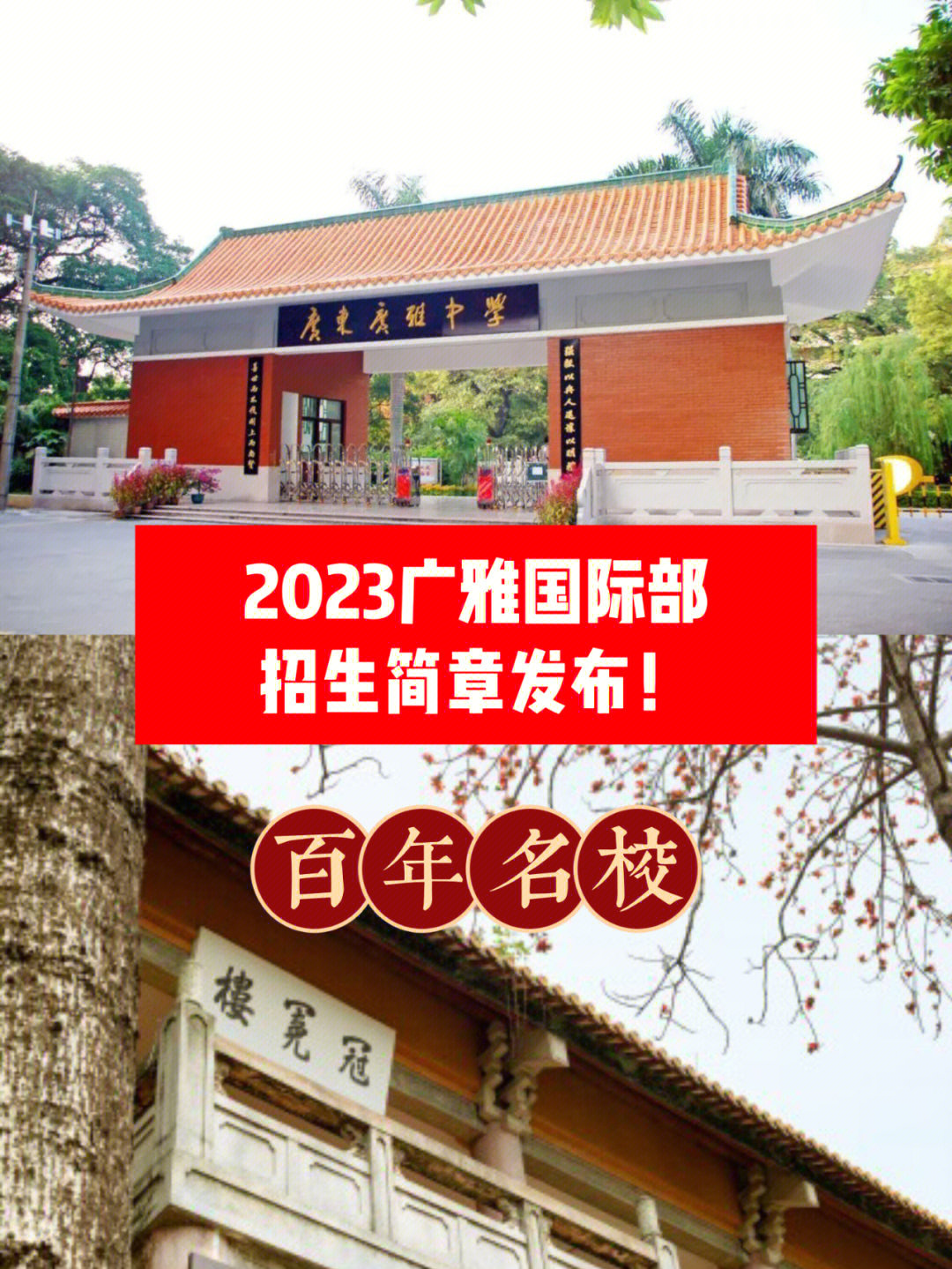 重磅发布2023年广雅国际课程招生简章