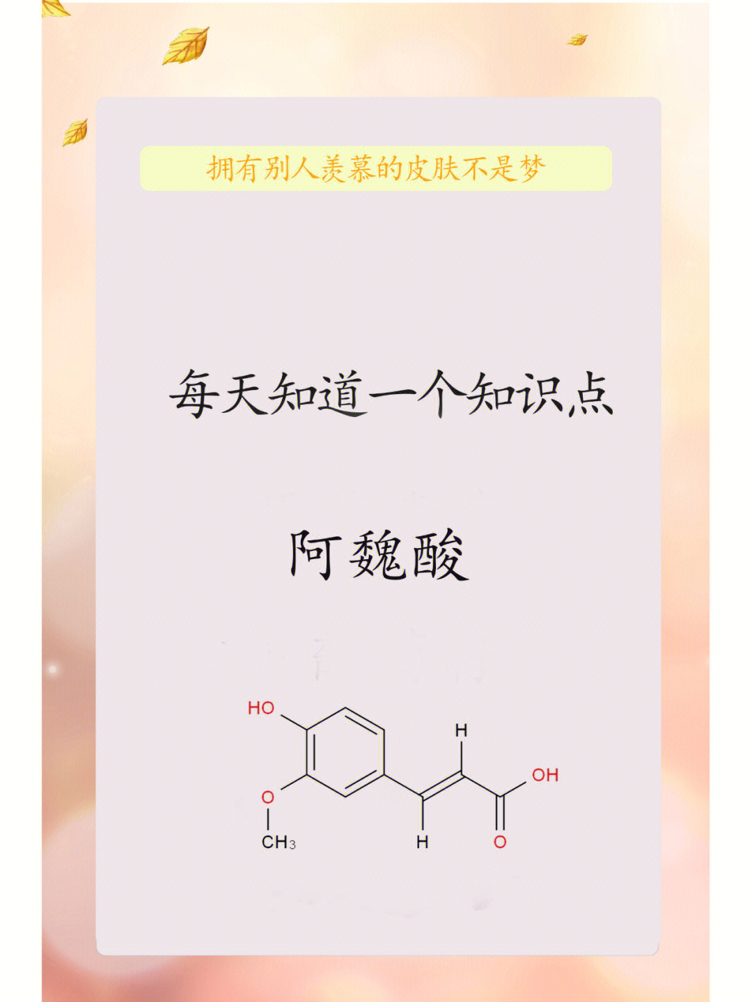 阿魏酸结构图片