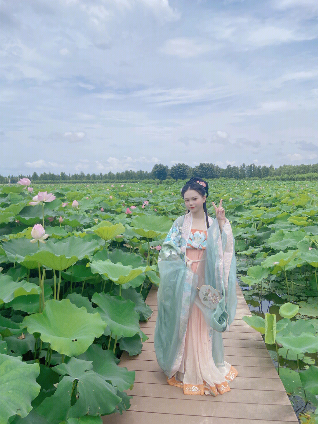 莲花坞的大门图片图片