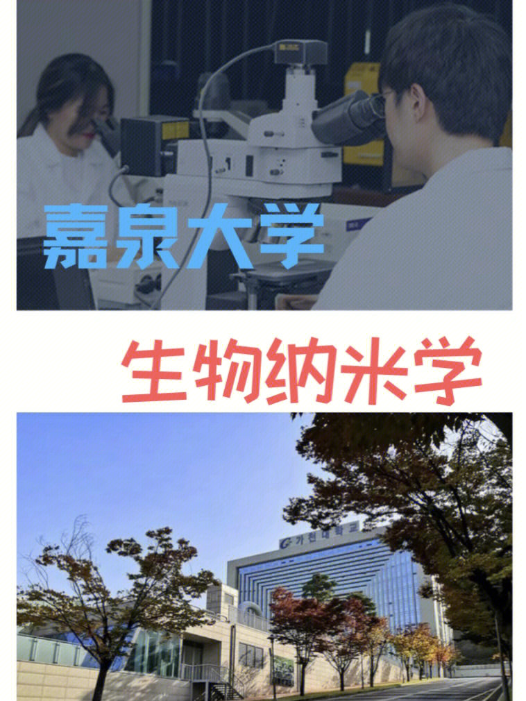 嘉泉大学地理位置图片