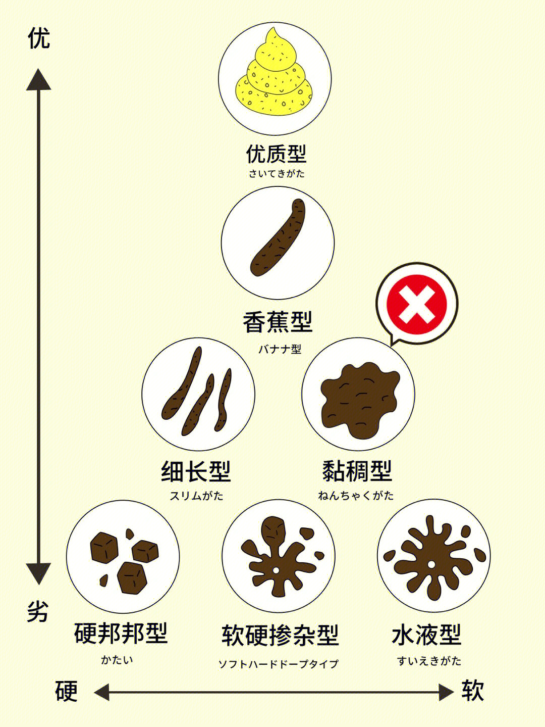 兔子粪便正常图解图片