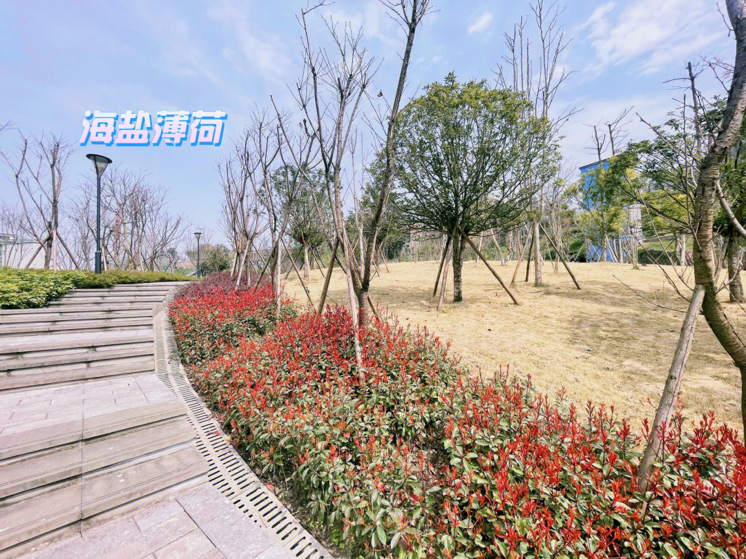 重庆渝北鹿山公园规划图片