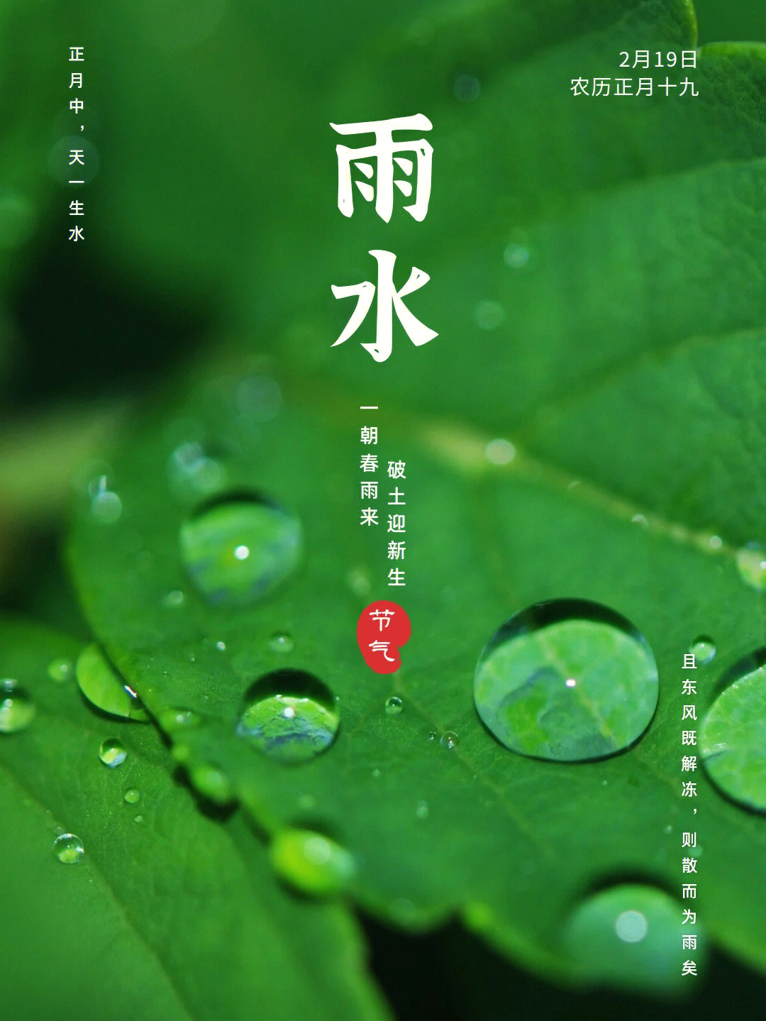 节气雨水文案海报