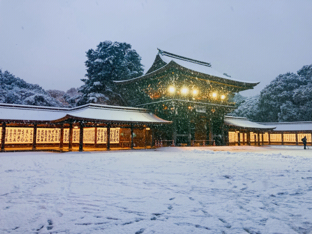 东京明治神宫雪景