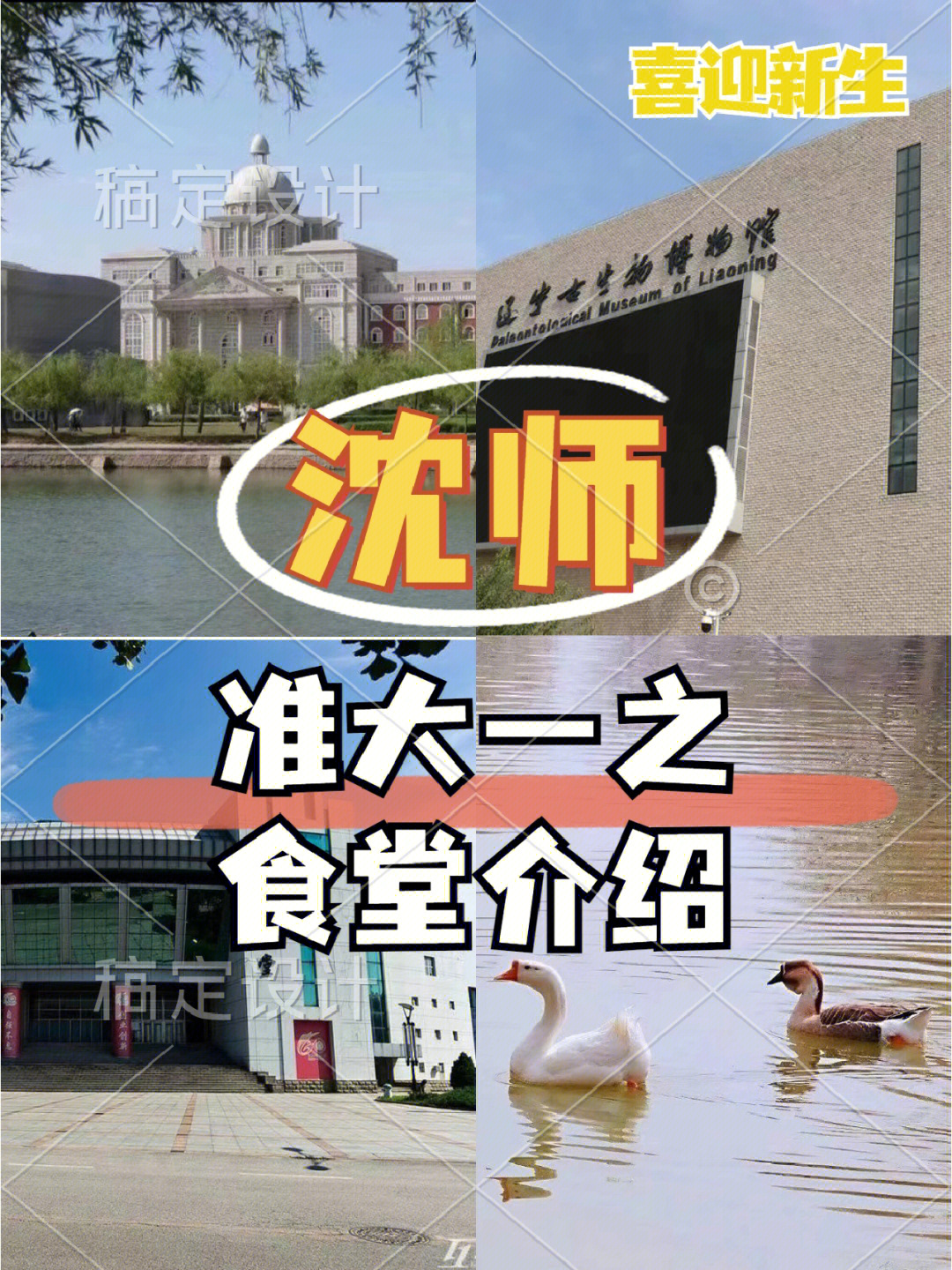 你想了解的沈阳师范大学之食堂系列