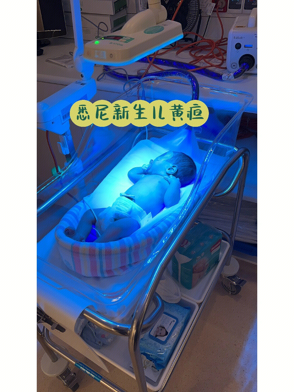 悉尼私立医院生崽