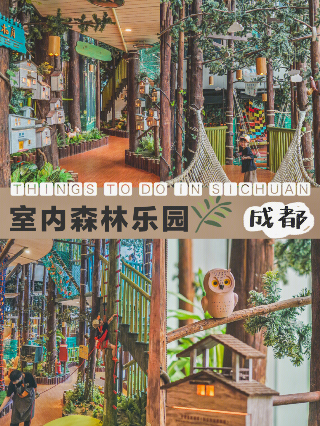 崇州童话森林乐园图片