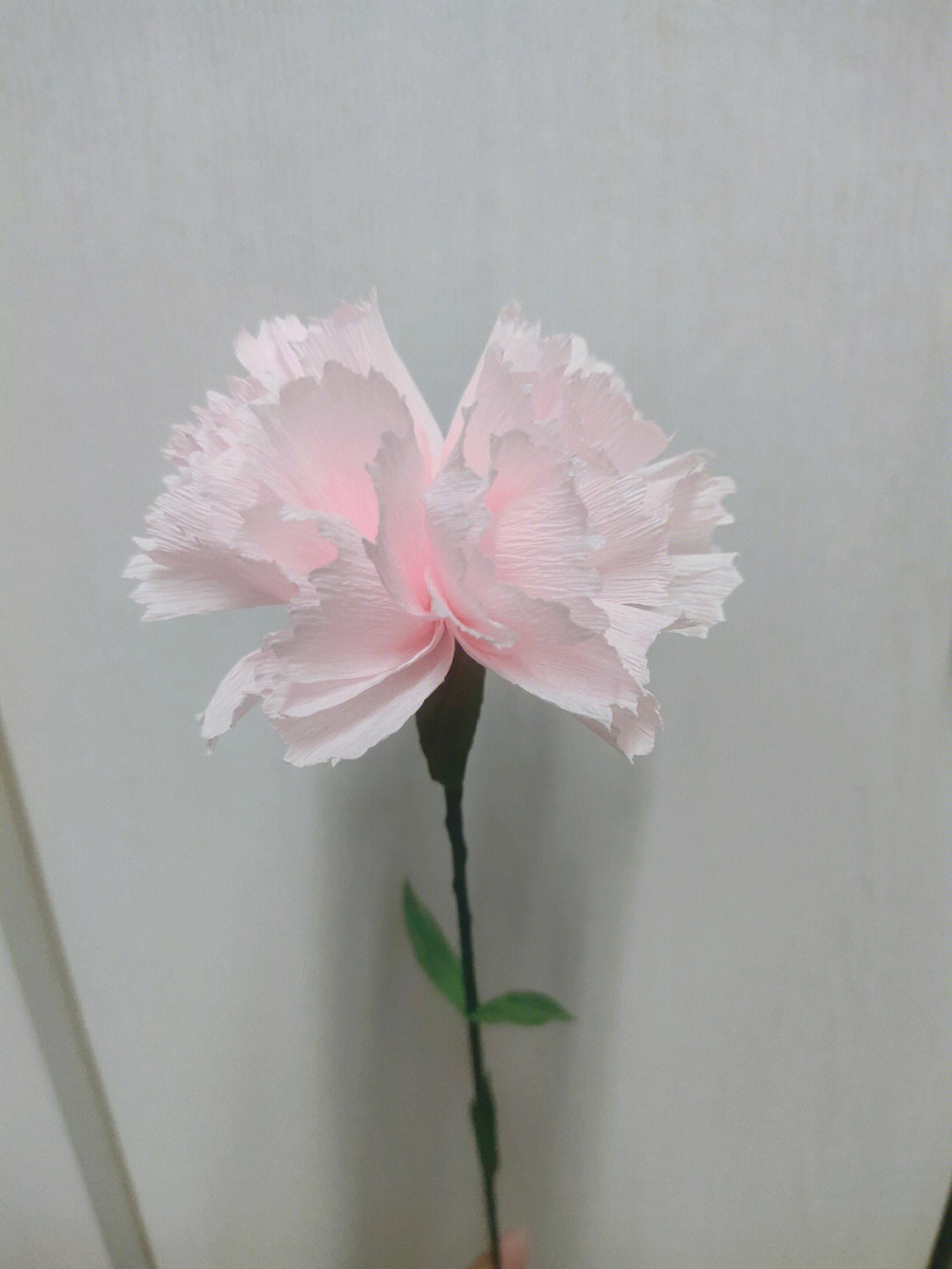 纸花的折法 康乃馨图片