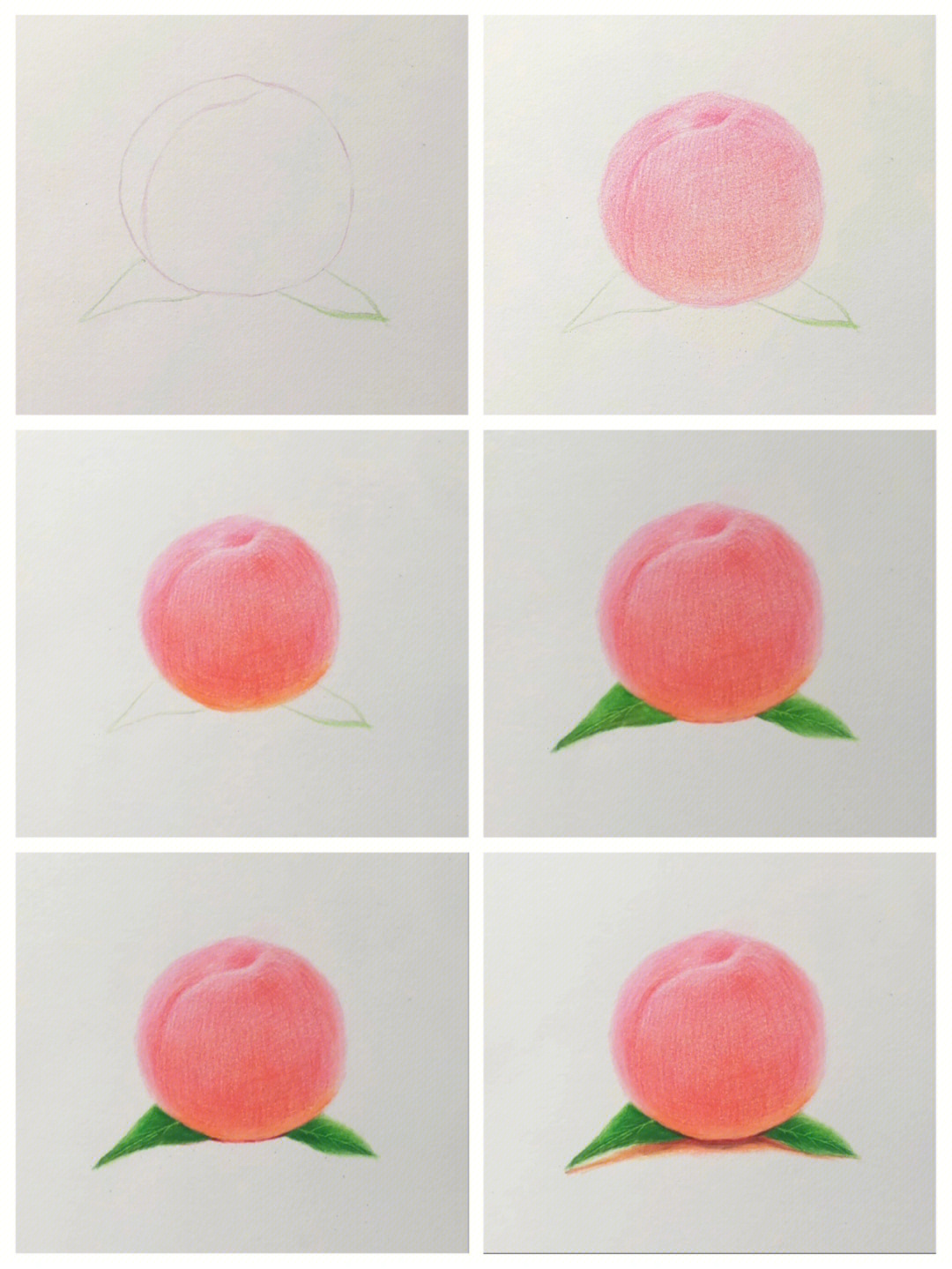 彩铅水果系列水蜜桃来啦含绘画过程图