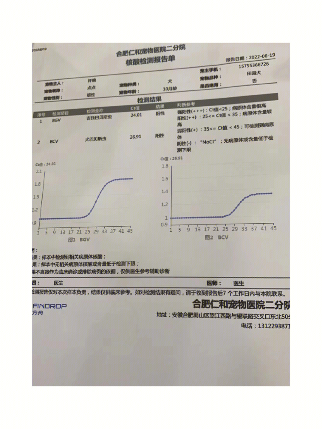 小可爱巴贝斯虫复发