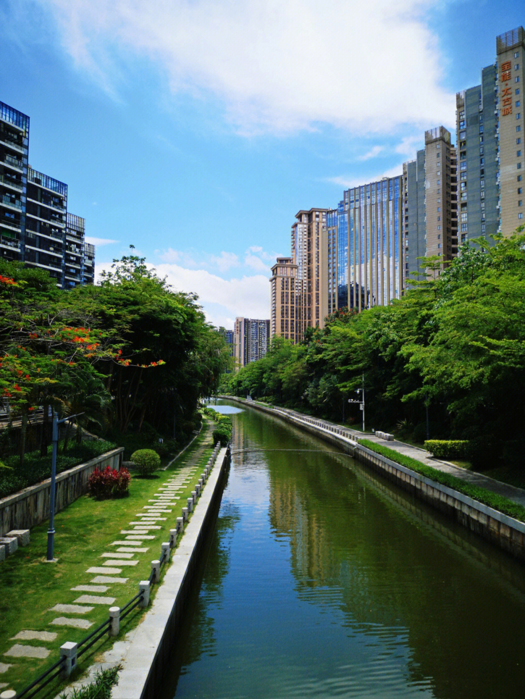 深圳蛇口后海图片