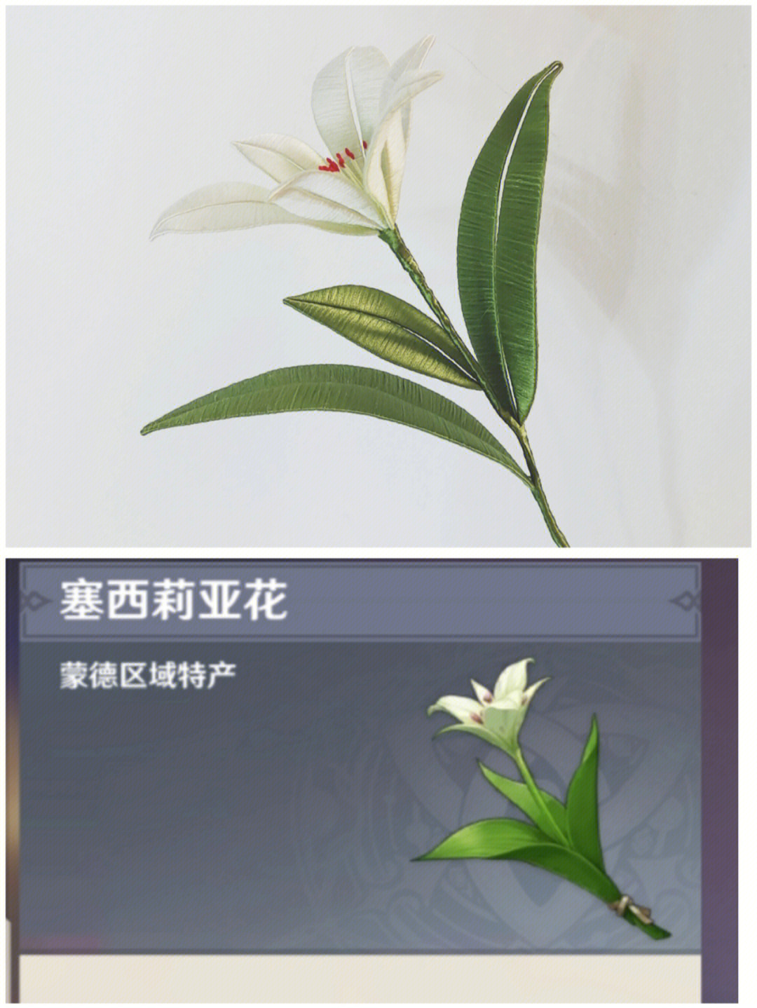 塞西莉娅花原型图片